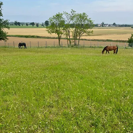 San Lorenzo Lantgård *