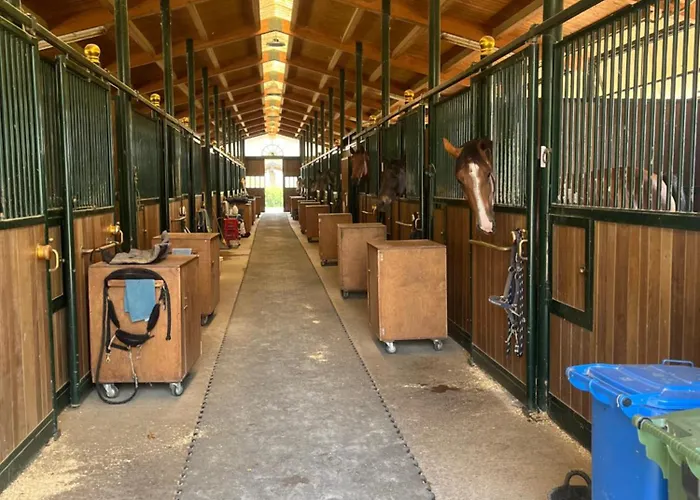 Vakantieboerderij San Lorenzo