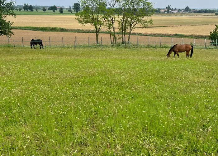 San Lorenzo Vakantieboerderij *