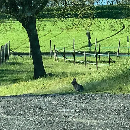 Gospodarstwo agroturystyczne San Lorenzo