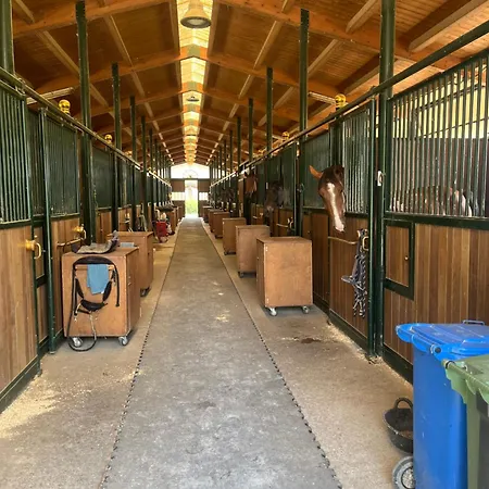 Gospodarstwo agroturystyczne San Lorenzo